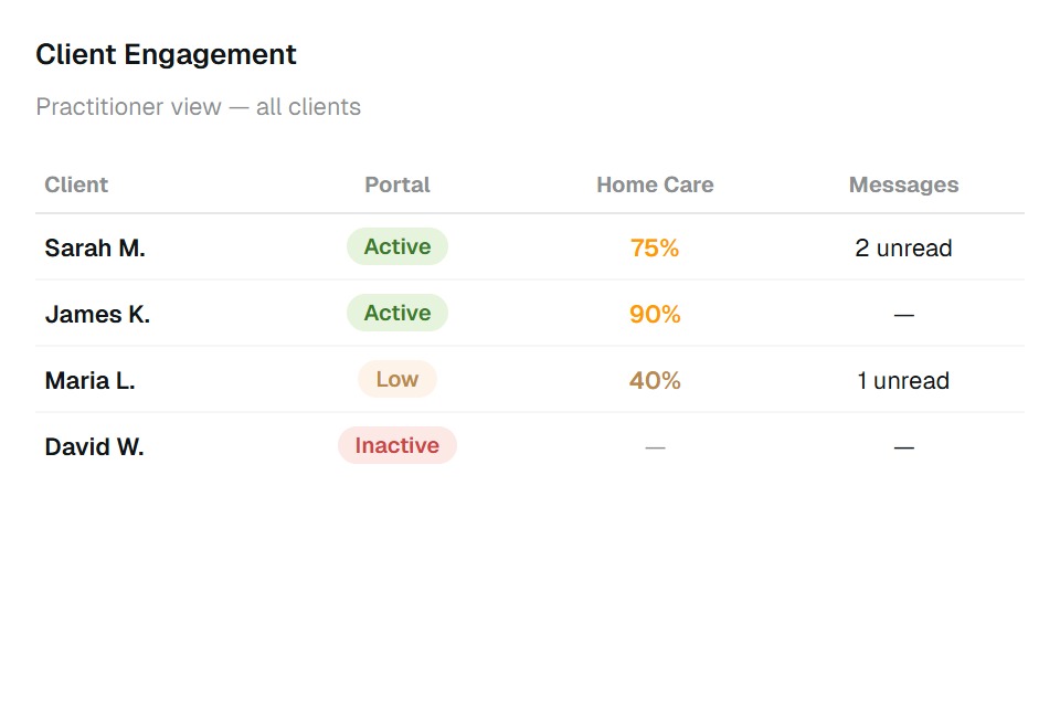 Practitioner view of client engagement and portal activity